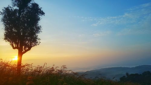 Scenic view of landscape against sky during sunset