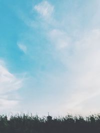 Plants growing on land against sky
