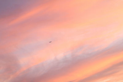 Low angle view of airplane flying against orange sky