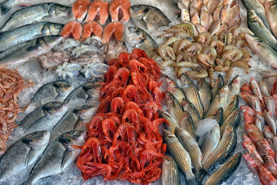 Full frame shot of fish for sale in market