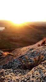 Sunset over landscape