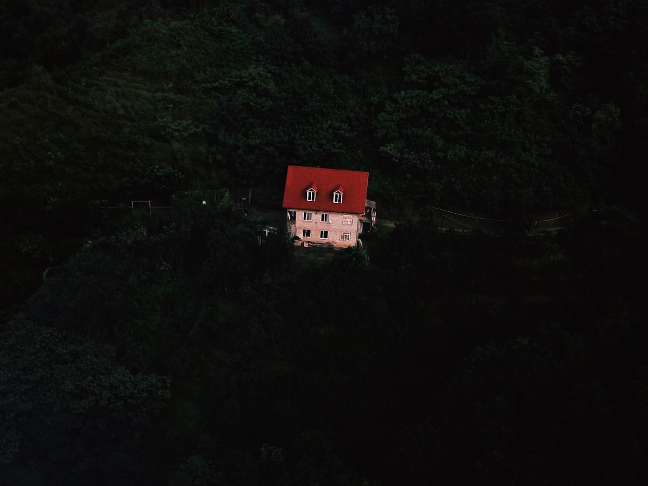 plant, tree, built structure, architecture, night, forest, no people, red, nature, building exterior, outdoors, land, building, low angle view, dark, sign, growth, communication, tranquility