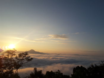 Silhouette trees against sky during sunset