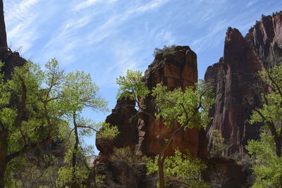 Low angle view of trees against sky