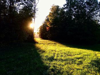 Scenic view of grassy field against sky