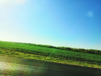 Scenic view of agricultural field against clear blue sky