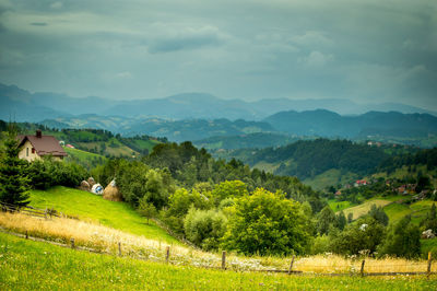 Scenic view of field against sky