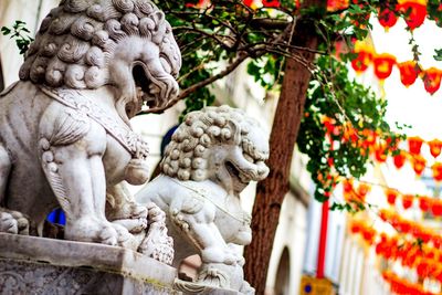 Close-up of statue against trees