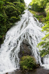 Scenic view of waterfall in forest