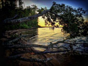 Scenic view of sea at sunset