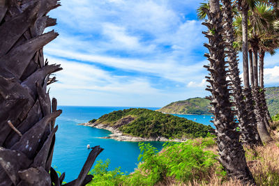 View of trees on beach
