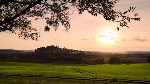 Scenic view of agricultural field against sky during sunset