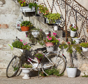 Potted plants in front of building