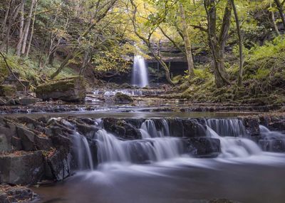 Waterfall in forest