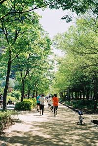 People walking on road against trees