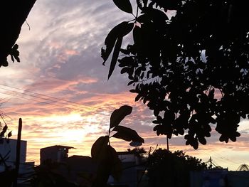 Silhouette tree against orange sky