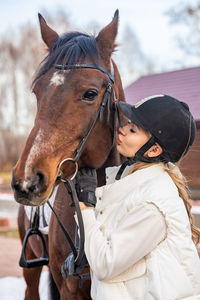 Close-up of horse on field