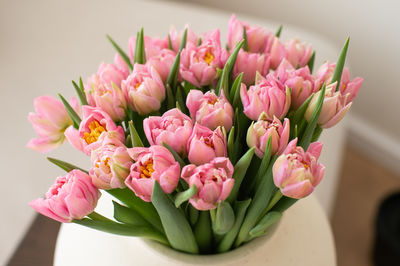 Close-up of pink flowers