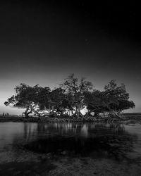 Scenic view of lake against sky at night