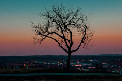 Silhouette bare tree against buildings in city during sunset