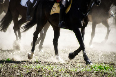 Low section of person riding horse