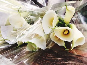 Calla lilies in plastic on table
