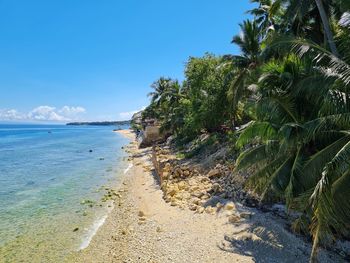 Palm trees on beach against sky