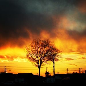 Silhouette of bare tree against dramatic sky