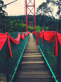 Empty footbridge along plants