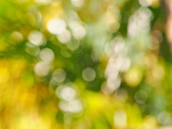 Defocused image of illuminated blurred lights