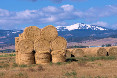 Hay bales on field against sky