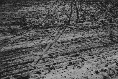 Snow covered field