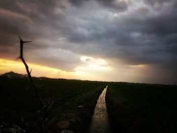 Scenic view of field against sky during sunset