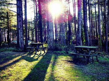 Empty bench in park