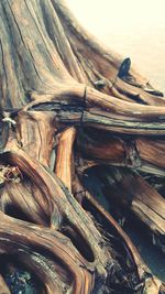 Close-up of old wooden wall