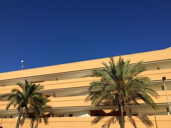 Low angle view of palm trees against clear blue sky