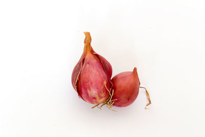 Close-up of fruits against white background