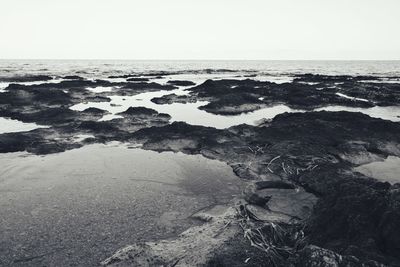 High angle view of beach against clear sky