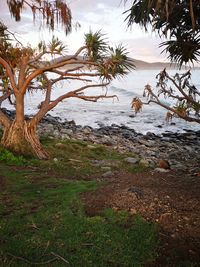 Scenic view of beach