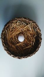 High angle view of eggs in nest against white background