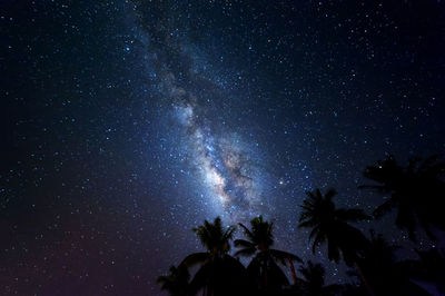 Low angle view of silhouette trees against sky at night