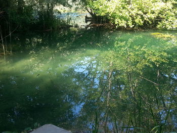 Reflection of trees in lake against sky