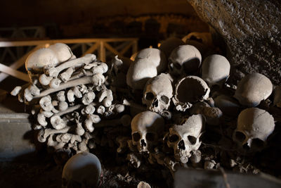 Close-up of human skull