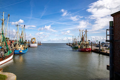 Sailboats at harbor against sky