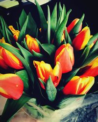 Close-up of flowers and leaves