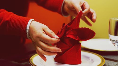 Midsection of woman holding red napkin in plate