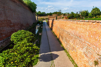 wall