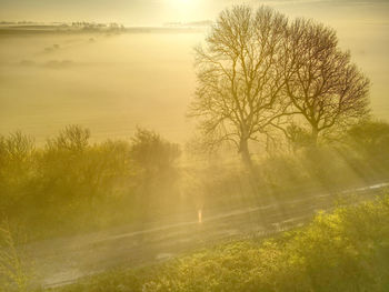 Misty sunrise over patrington, east riding of yorkshire