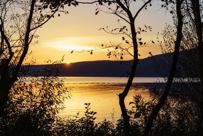 Scenic view of sea against orange sky