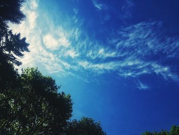 Low angle view of silhouette trees against blue sky